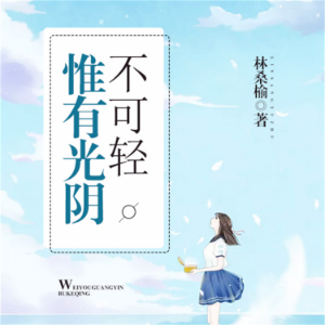惟有光阴不可轻2