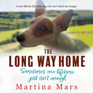 The Long Way Home