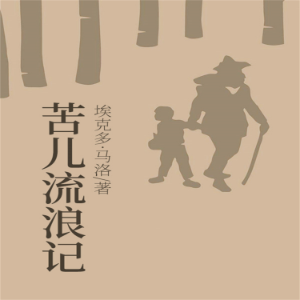 苦儿流浪记