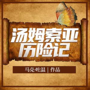 汤姆·索亚历险记