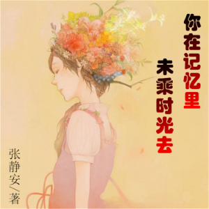 你在记忆里,未乘时光去-logo