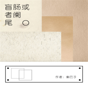 盲肠或者阑尾