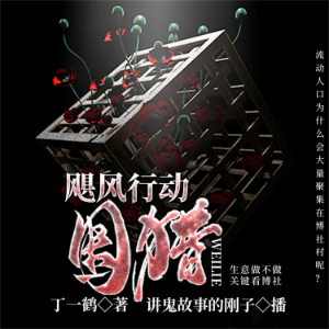 飓风行动：围猎