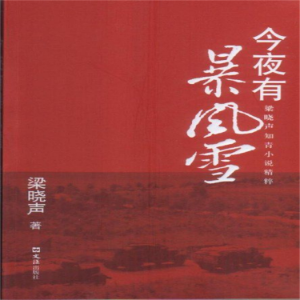 今夜有暴风雪-logo