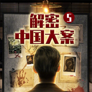 解密中国大案5-logo