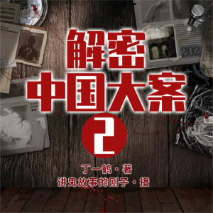 解密中国大案2-logo