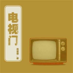 电视门