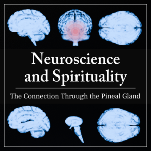 Neuroscience and Spirituality