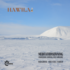 Meditationsövning - Arktiska vidder