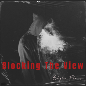 Blocking The View