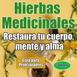 Hierbas Medicinales, Guía para Principiantes, Restaura tu cuerpo, mente y alma