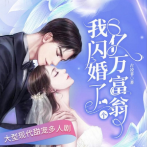 我闪婚了个亿万富翁2