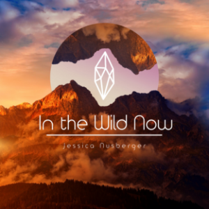 In the Wild Now-logo