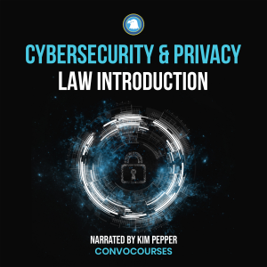 Cybersecurity & Privacy Law Introduction