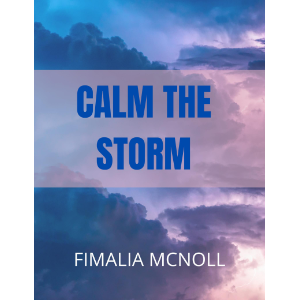 Calm the Storm (Christian Motivation)