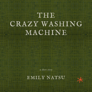 The Crazy Washing Machine