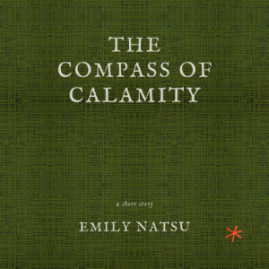 The Compass of Calamity