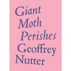 Giant Moth Perishes