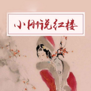 小刚说红楼
