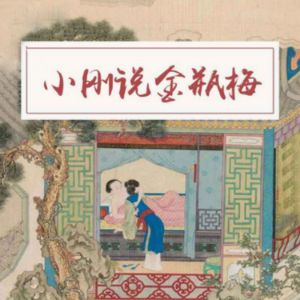 小刚说金瓶梅