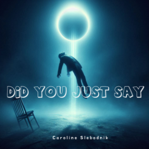 Did You Just Say-logo