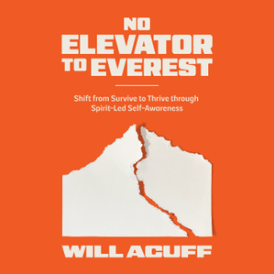 No Elevator to Everest