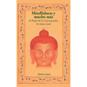 Mindfulness y mucho más