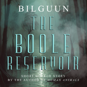 The Boole Reservoir