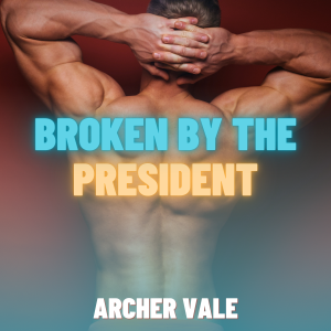 Broken by the President (Gay Sissification Erotica)-logo