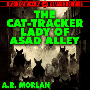 The Cat-Tracker Lady of Asad Alley