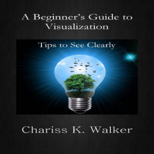 A Beginner's Guide to Visualization:-logo