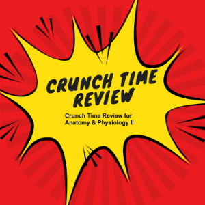 Crunch Time Review for Anatomy & Physiology II