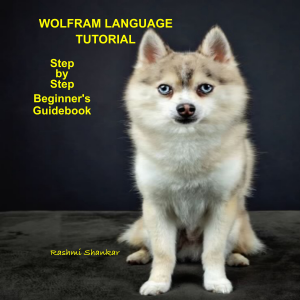 Wolfram Language Tutorial-logo