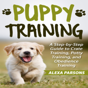 Puppy Training