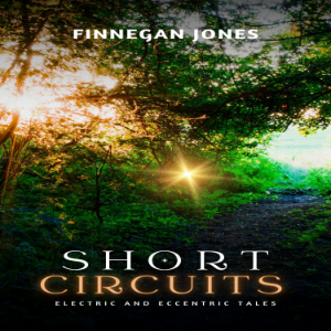 Short Circuits