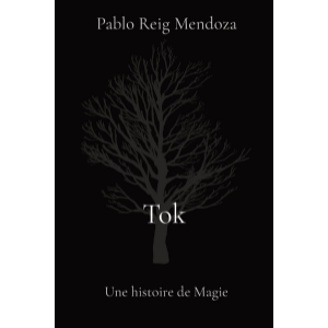 Tok. Une histoire de Magie