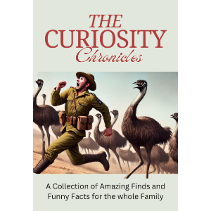 The Curiosity Chronicles