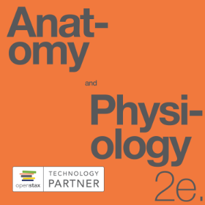 Anatomy and Physiology 2e (OpenStax Audio Textbook)