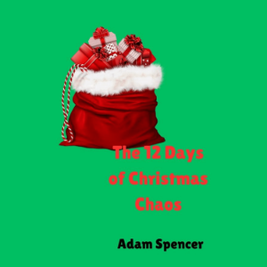 The 12 Days of Christmas Chaos