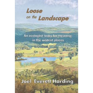 Loose on the Landscape