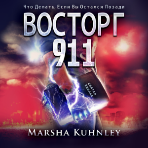 Восторг 911