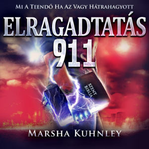 Elragadtatás 911
