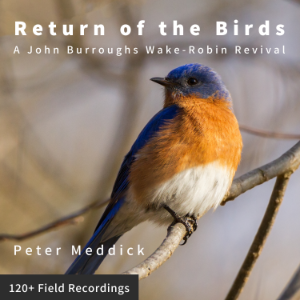 Return of the Birds