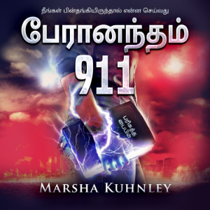 பேரானந்தம் 911-logo