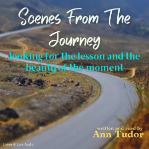 Scenes From The Journey