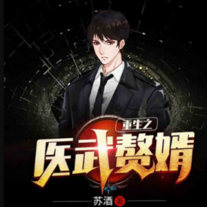 重生医武赘婿（神医赘婿）2