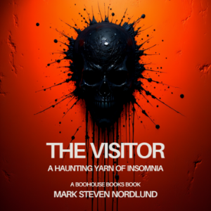 The Visitor