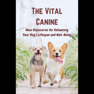 Chapter 1: The Vital Canine 3