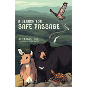 A Search for Safe Passage