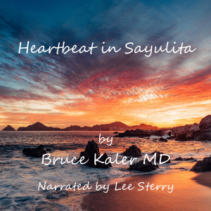Heartbeat in Salyulita-logo